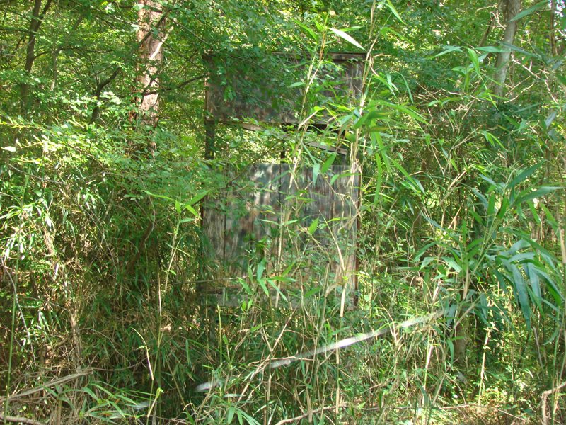 DSC01162