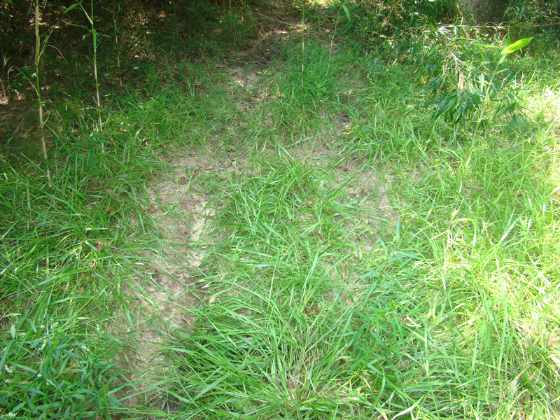 DSC01167