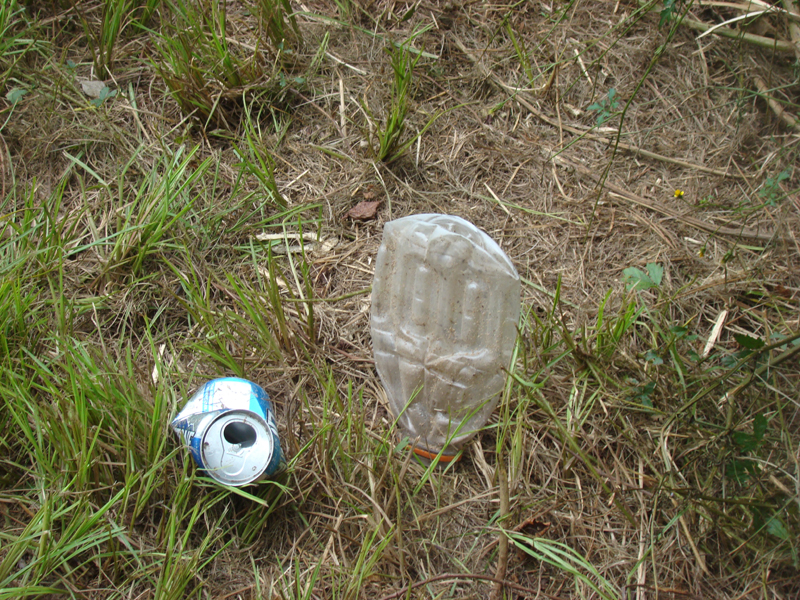 DSC01190