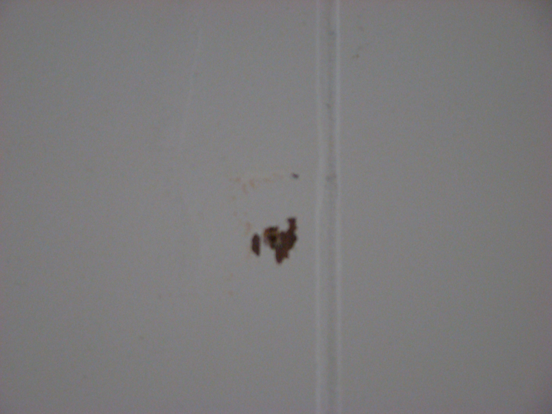 DSC01293