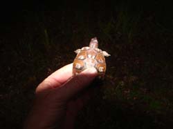 DSC01047