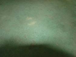 DSC01063