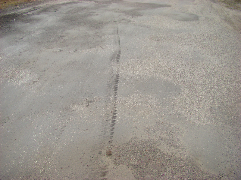 DSC01845