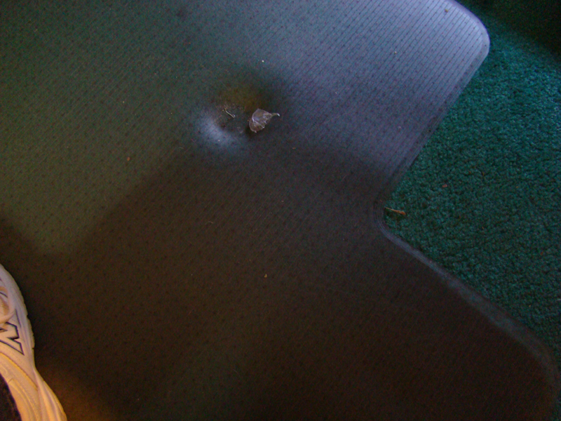 DSC00654