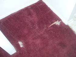 P1010094