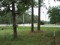 P6260043
