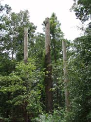 P6260058