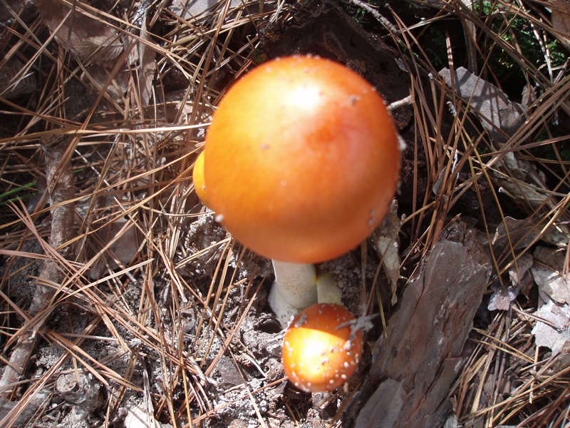 PB040461