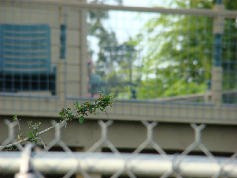 DSC00001