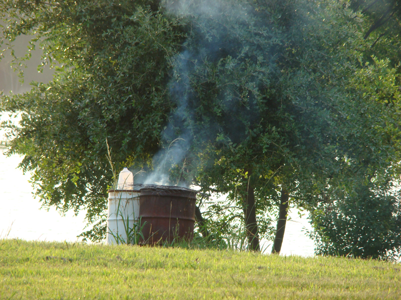 DSC00003