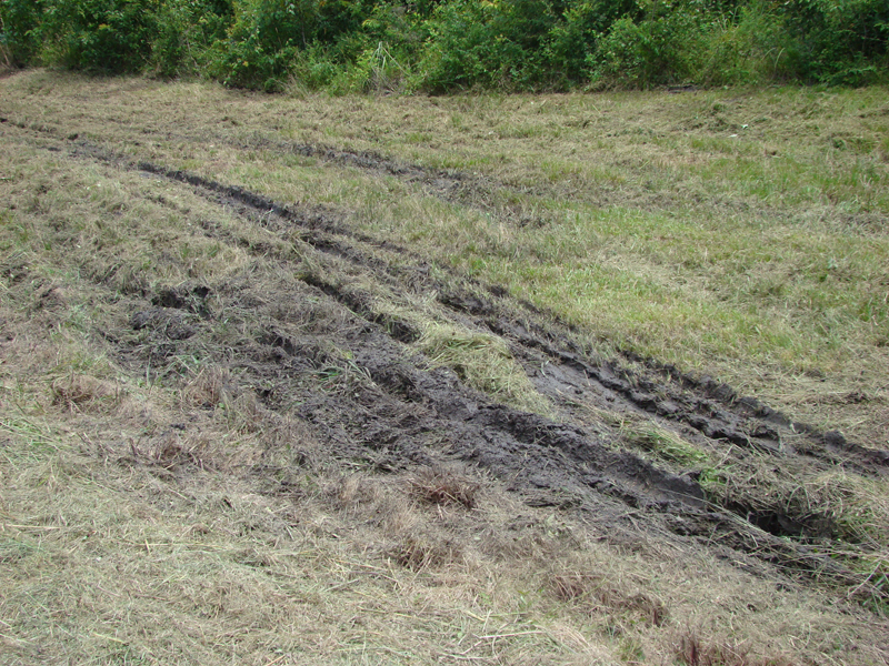 DSC00113