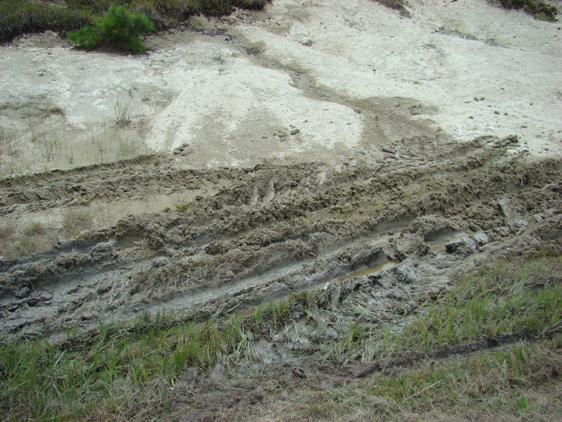 DSC00117