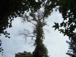 DSC00027