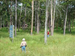 DSC00062