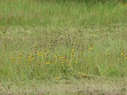DSC00091
