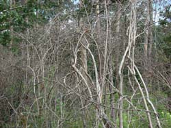 DSC00257