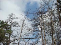 DSC00262