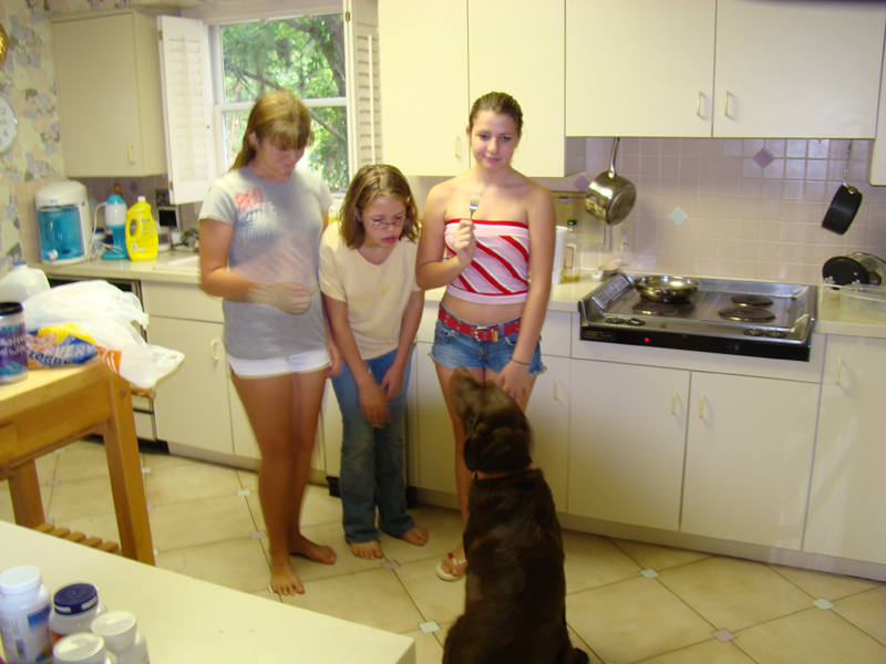 DSC00005