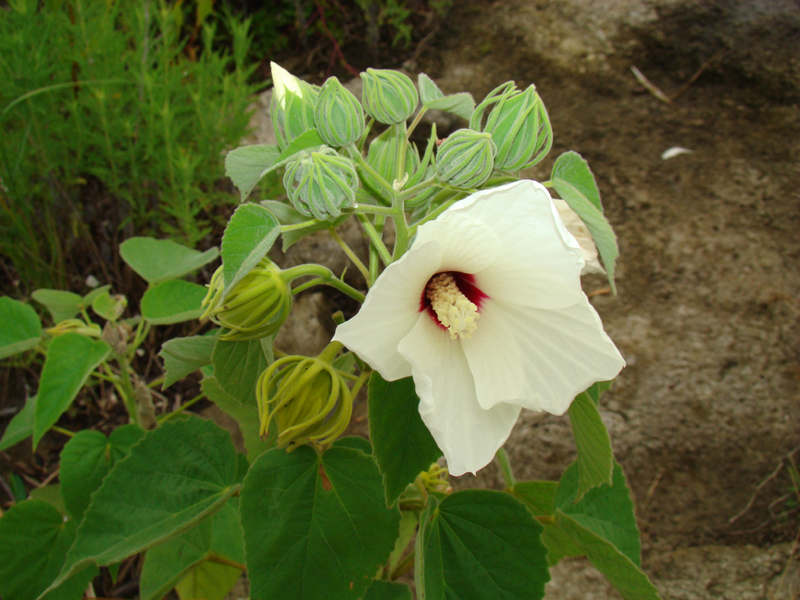 DSC00020