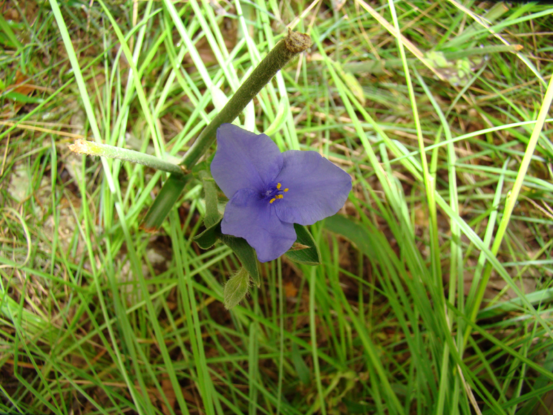 DSC00025