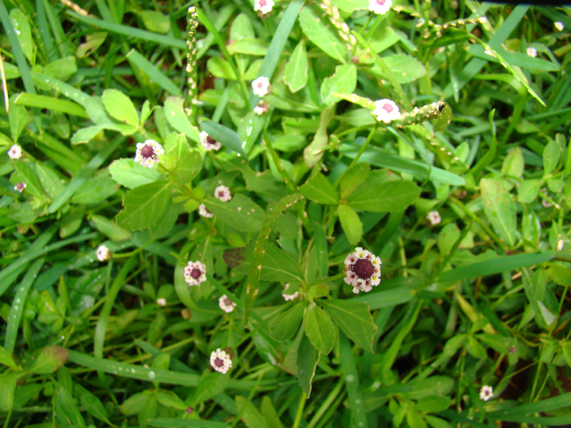 DSC00027