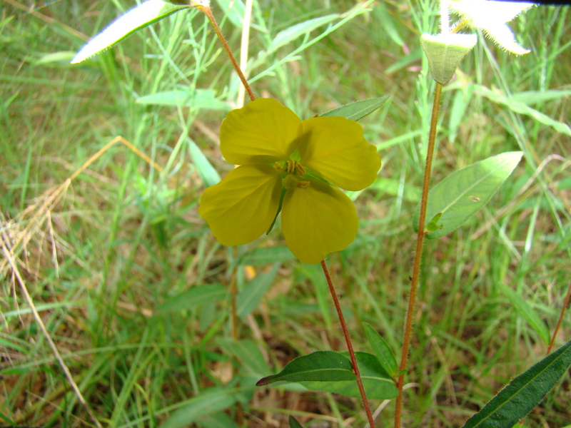 DSC00030