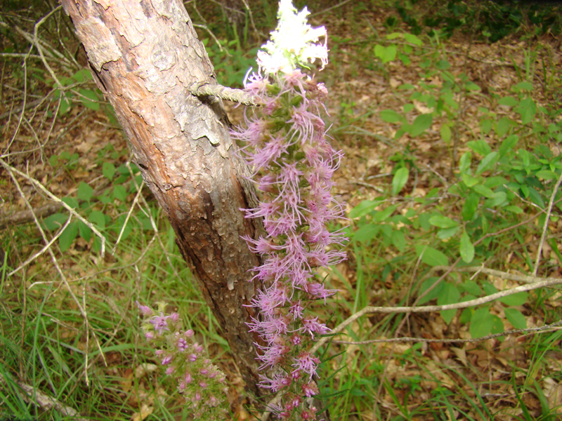 DSC00032