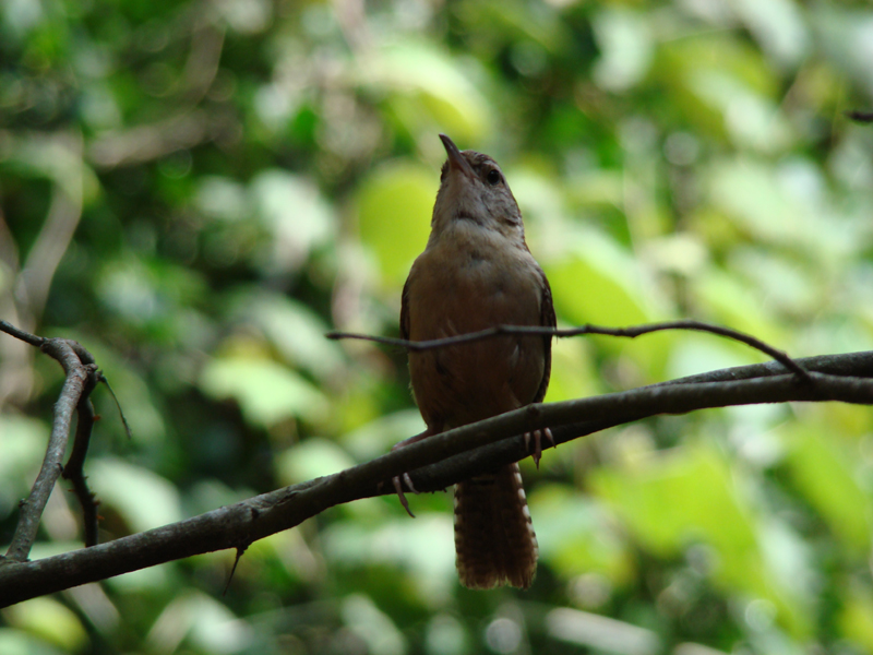 DSC00175