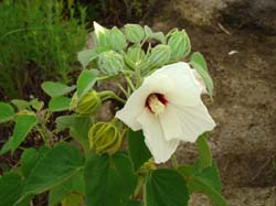 DSC00020