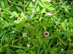 DSC00027