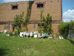 DSC00186