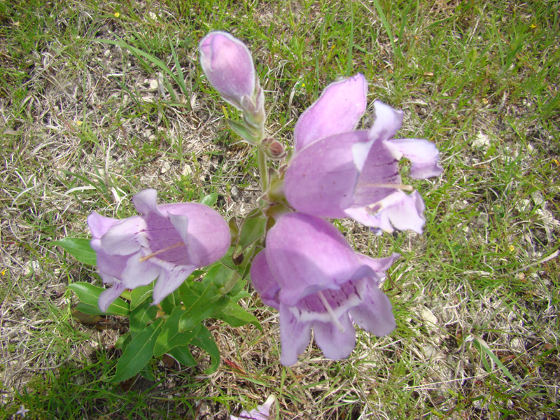 DSC03174