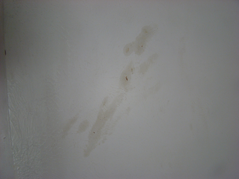 DSC04608
