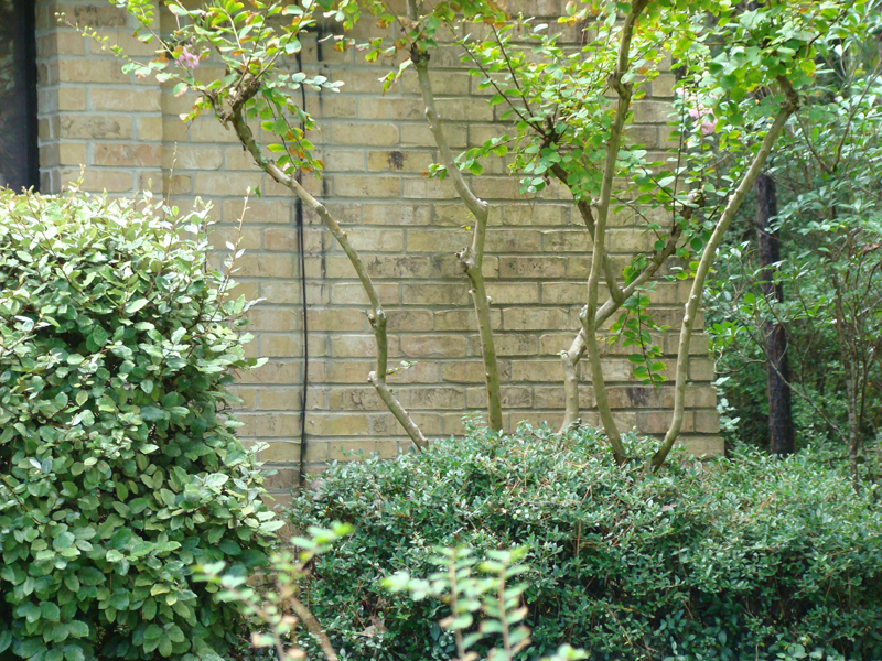 DSC05124