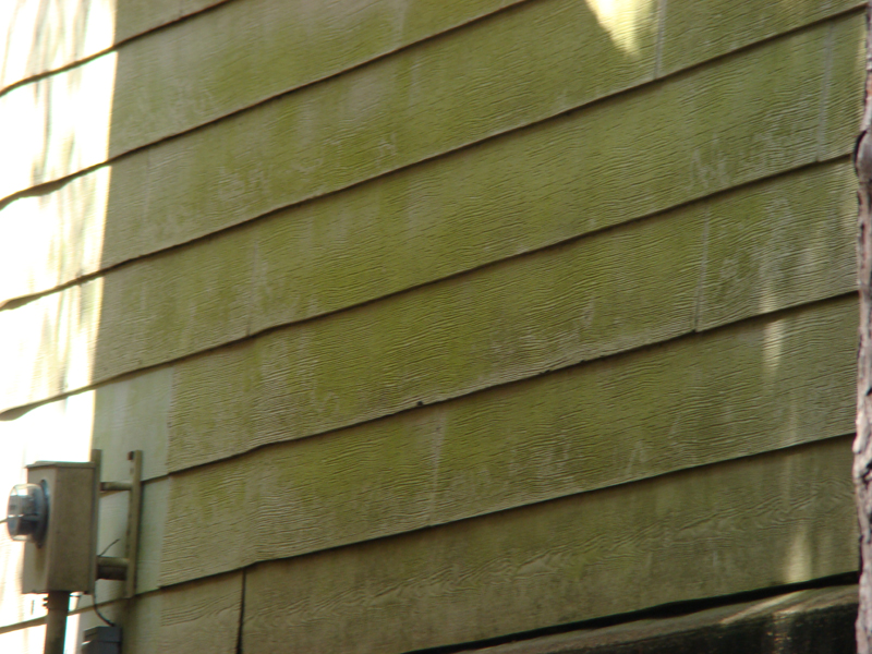 DSC05404