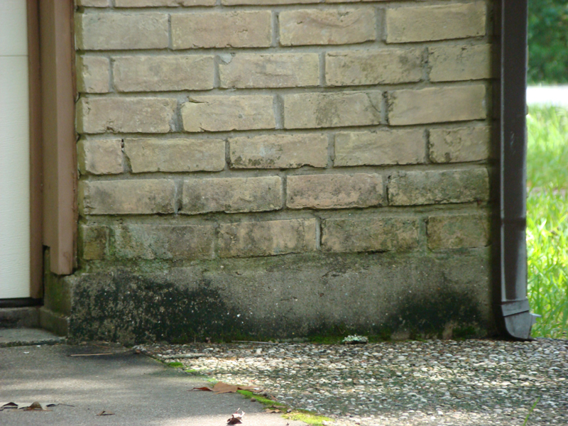 DSC05455