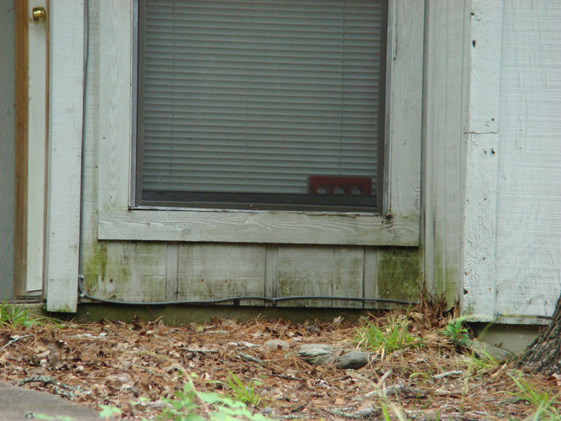 DSC05681
