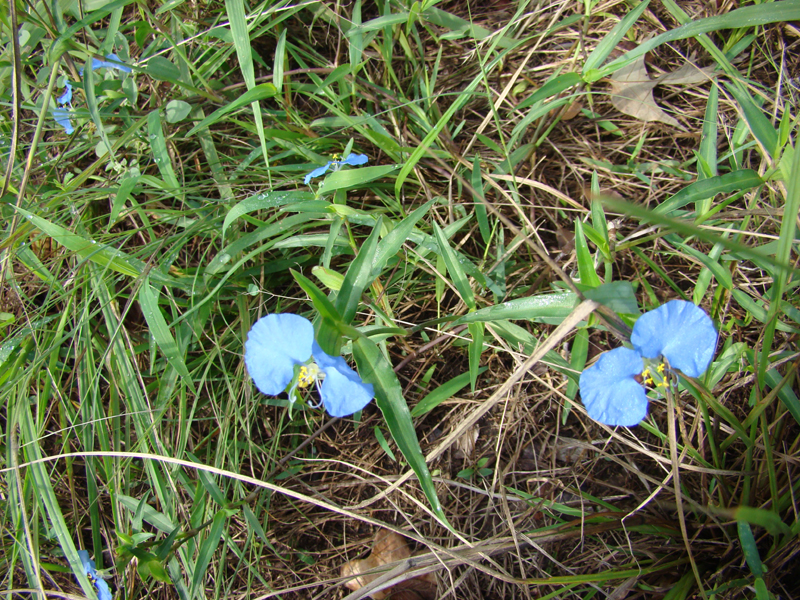 DSC05817
