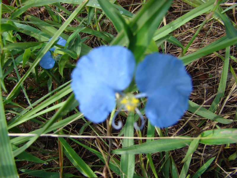 DSC05818