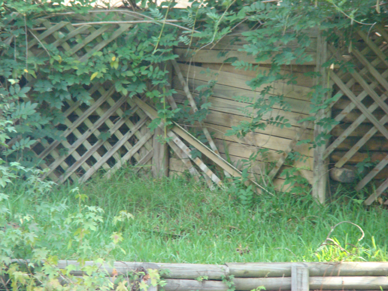 DSC05838