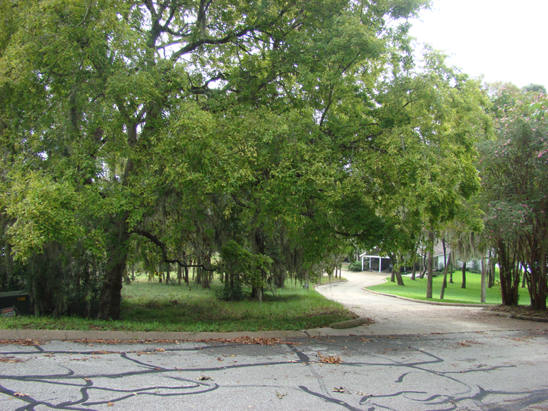 DSC05899
