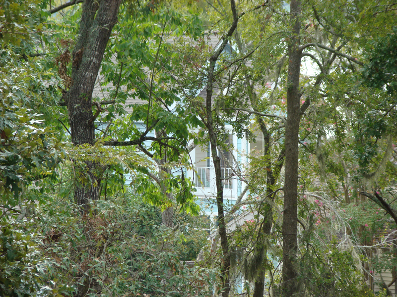 DSC05900