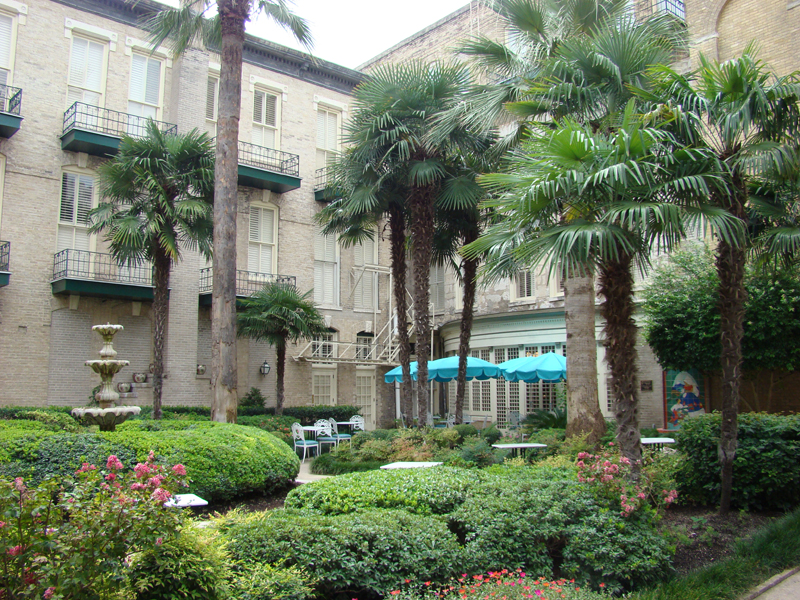 DSC06027