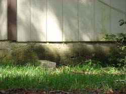 DSC05400