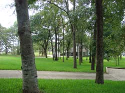 DSC05903