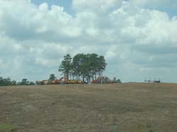 DSC05929