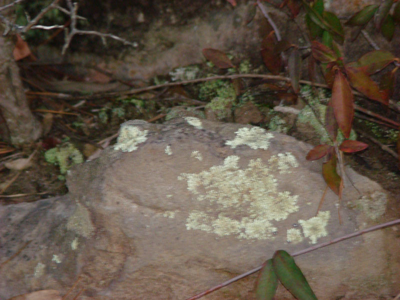 DSC07378