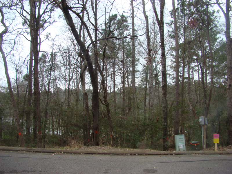 DSC02017
