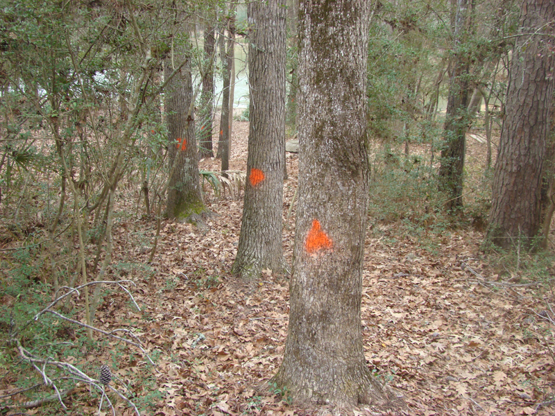 DSC02018