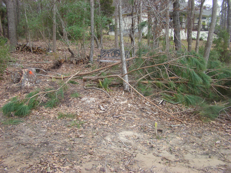 DSC02043